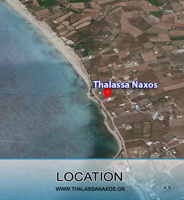 THALASSA NAXOS HOTEL - KASTRAKI