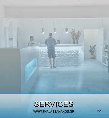 THALASSA NAXOS HOTEL SERVICES